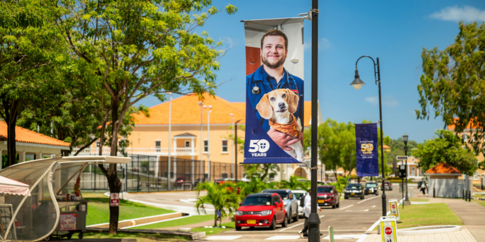 50th anniversary banners around campus