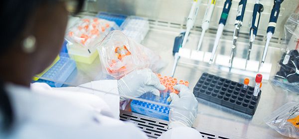 BSc Biology Degree