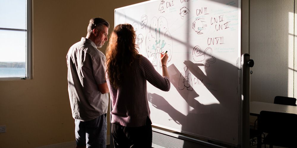 Students using whiteboard