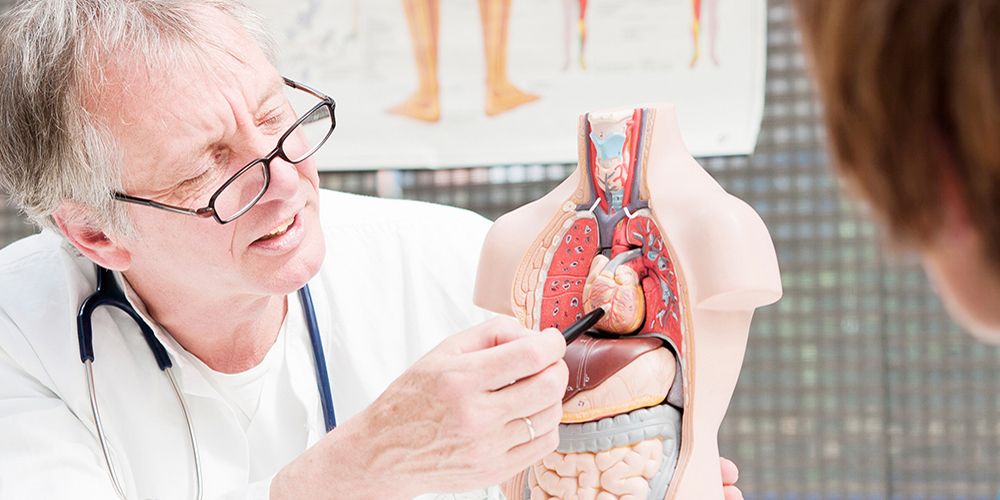 What Makes a Good Doctor?Surprisingly Useful Skills for Physicians