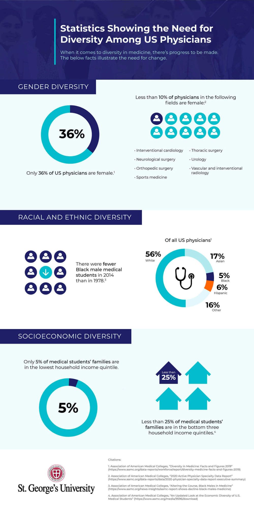 Diversity Infographic