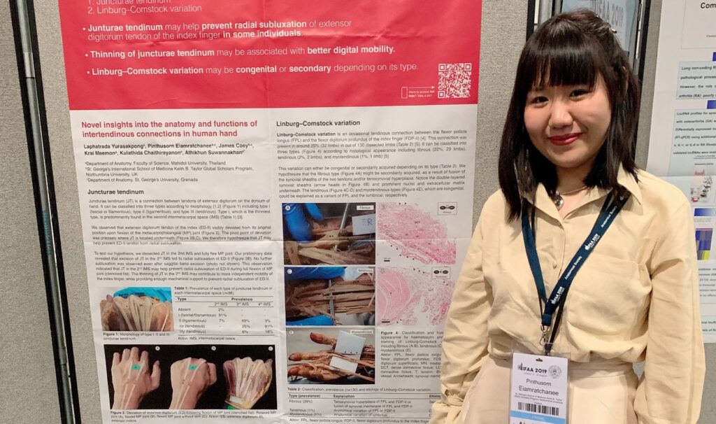 Young female researcher presenting a scientific poster on novel insights into hand anatomy at the IFAA 2019 conference