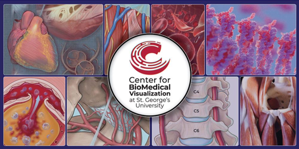 Center for BioMedical Visualization