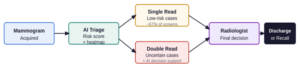 Figure 2 — AI-assisted mammography screening workflow (adapted from the Danish PRAIM and Korean cohort designs). AI triage routes ~67% of low-risk cases to single-read, reducing radiologist workload while maintaining — and in many settings improving — cancer detection rates.