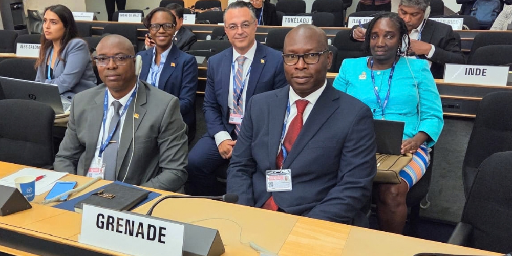 Dr. Loukas attends 79th World Health Assembly