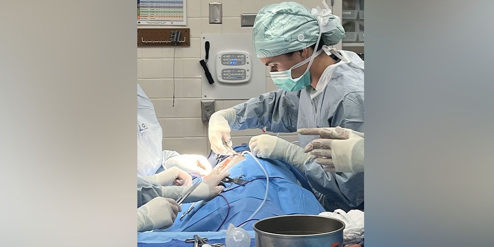 Emma Wood, DVM ’25 (expected)