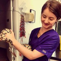 Dr. Kate Williams holding a snake