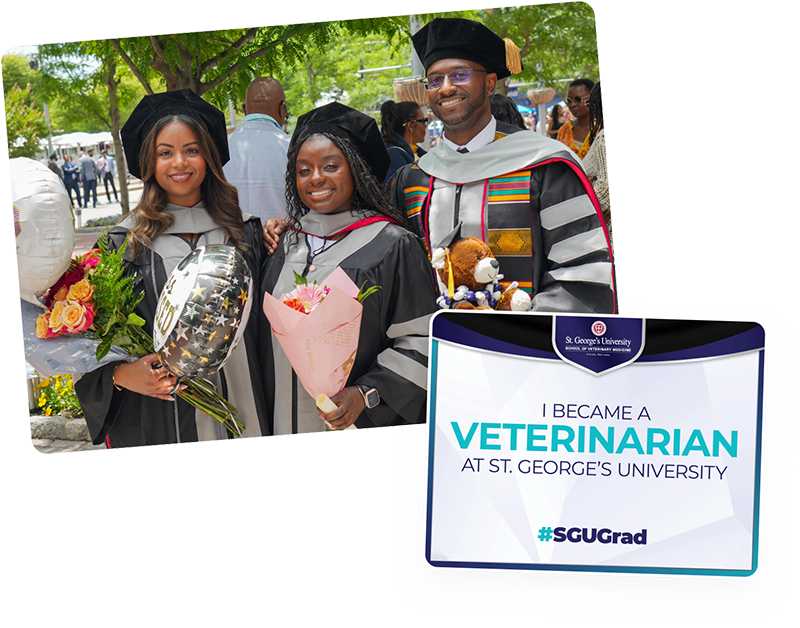 2026 SVM Graduation Toolkit