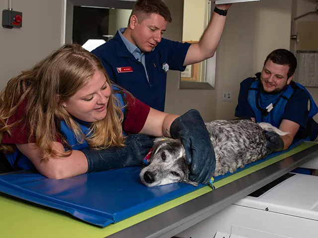 Clinically-driven curriculum