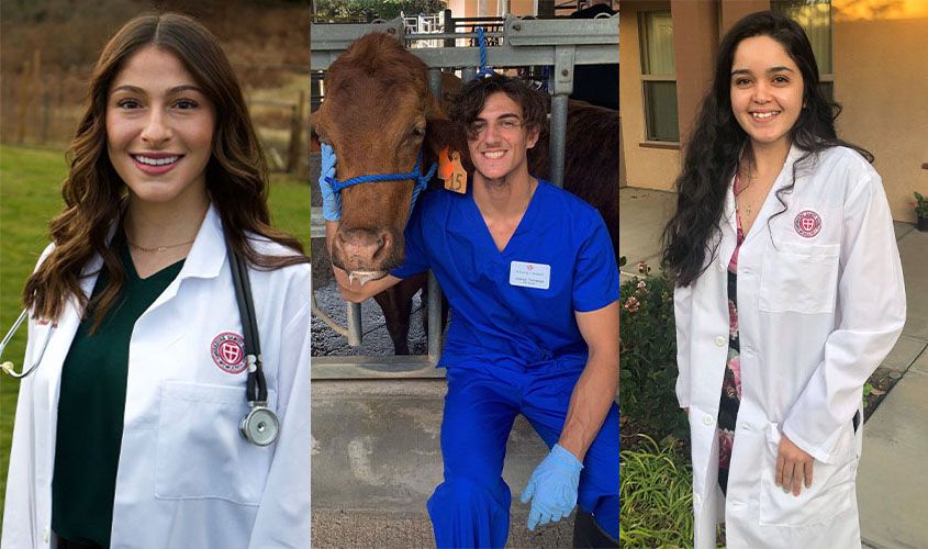 Smiling SGU School of Veterinary Medicine students and faculty in a collage celebrating academic term awards News