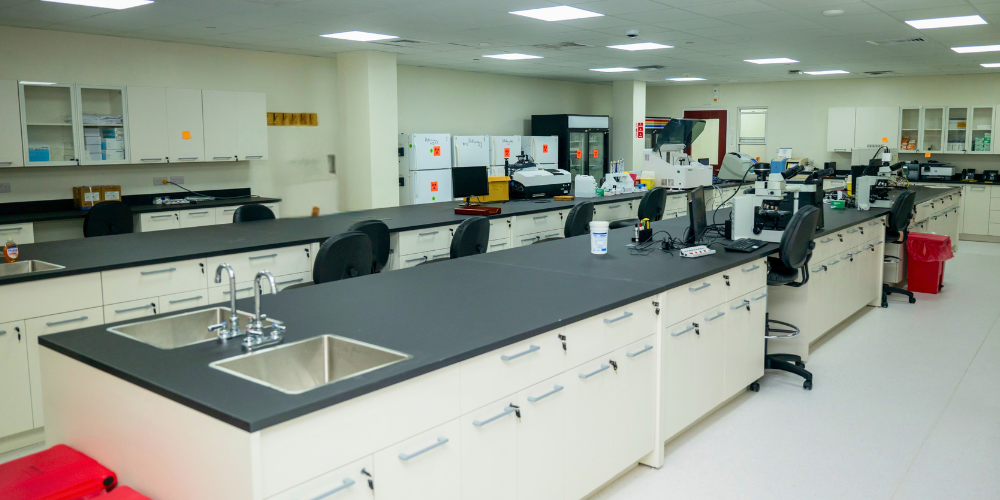 New pathology diagnostics lab in Science Hall