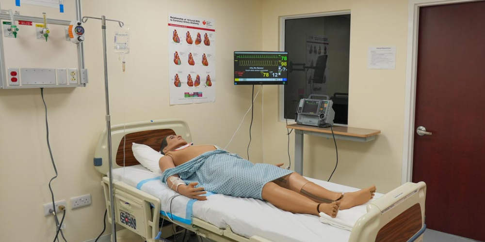 SimC high-fidelity area