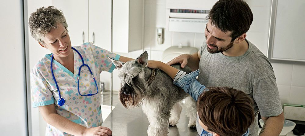 Veterinarian speaking with a dog's owners during a checkup