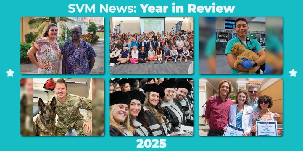 A collection of the most impactful st george's university school of veterinary medicine news stories