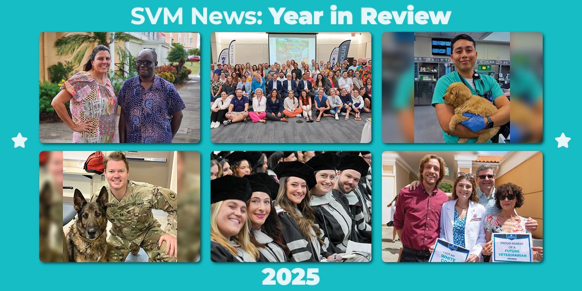 A collection of the most impactful st george's university school of veterinary medicine news stories