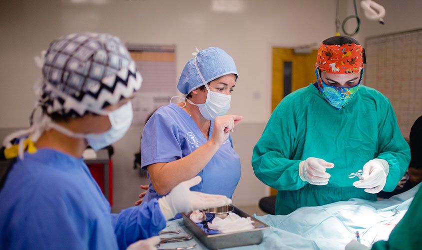 SGU SVM dual degree graduates Dr. Adria Rodriguez