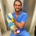 Andrew Kushnir, DVM 2019