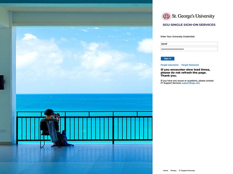 Application Preview Image