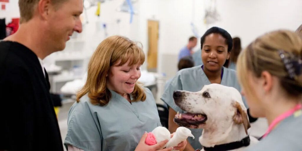 Students and faculty performing exam on a dog