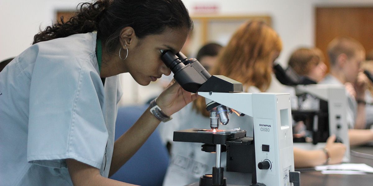 Student studying slides with microscope
