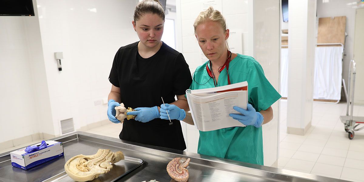 SGU students studying skeletal system