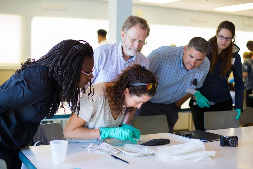 Faculty Research at SGU