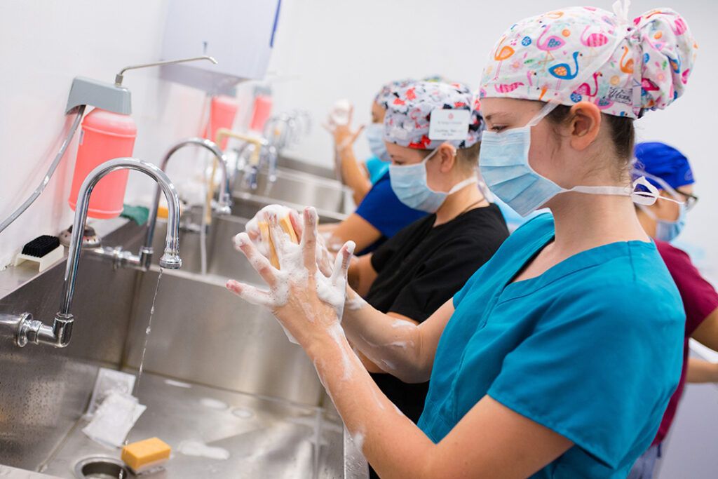 Students washing hands