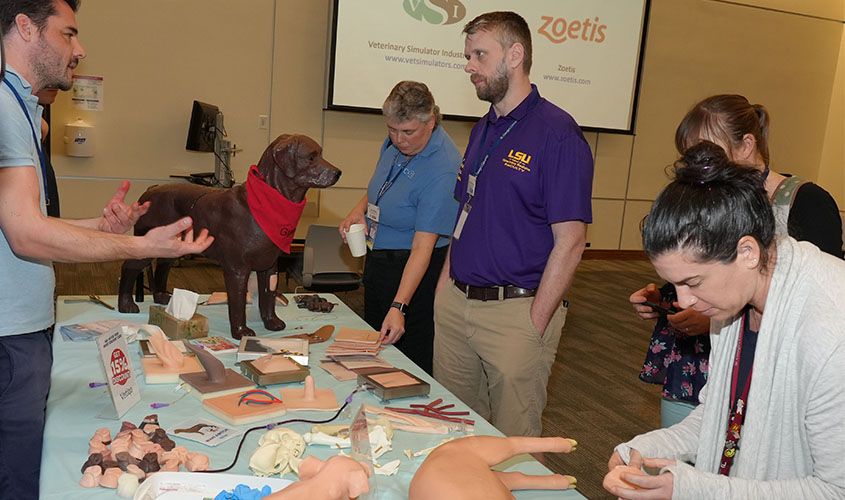 International Veterinary Simulation in Teaching (InVeST) Conference News