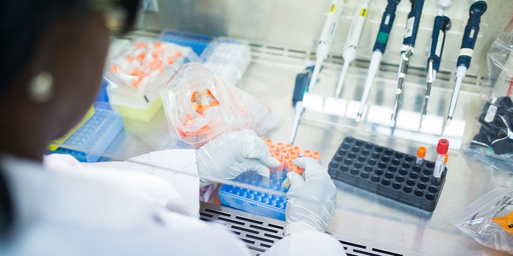 research in a laboratory News