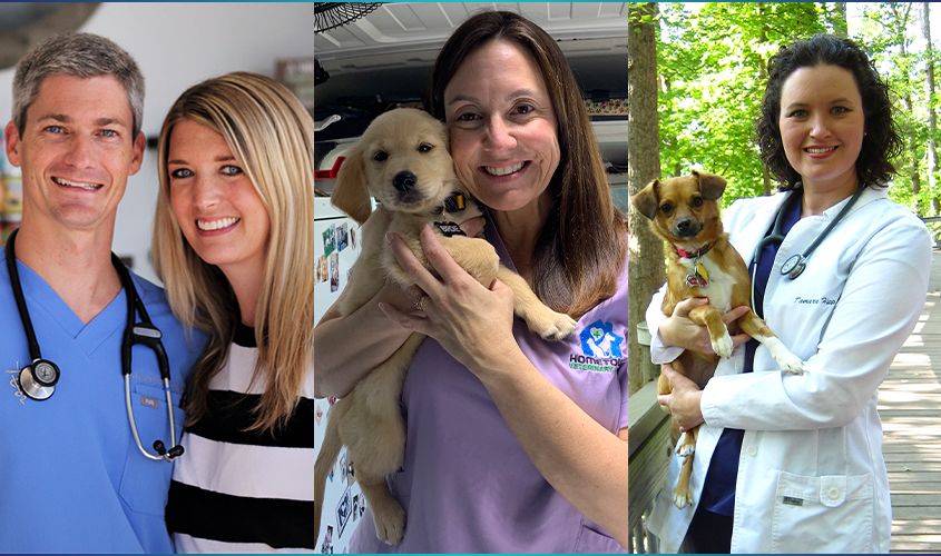 Collage of SGU veterinarians with clients and pets, including a vet from HomeVet Mobile Vet, highlighting dedication to animal care. News
