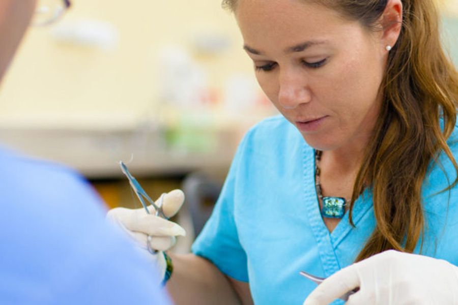 Suture Lab Organization