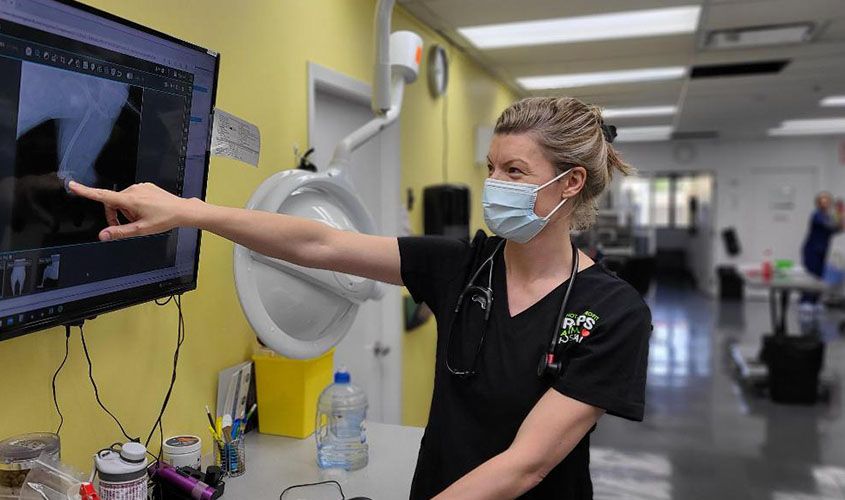 Reagan Schwartz News