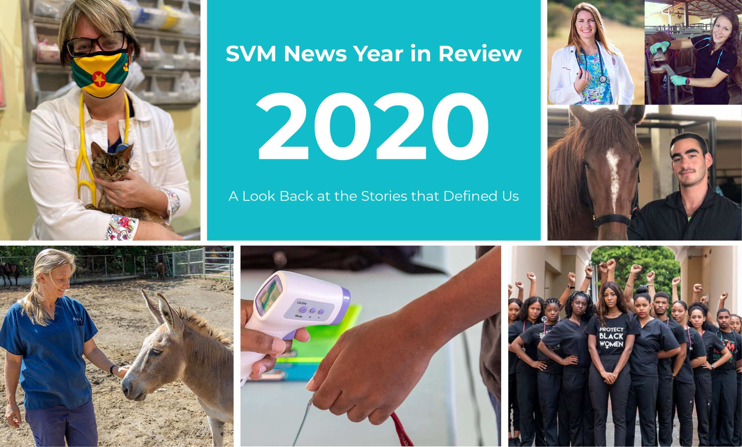 top vet stories of 2020