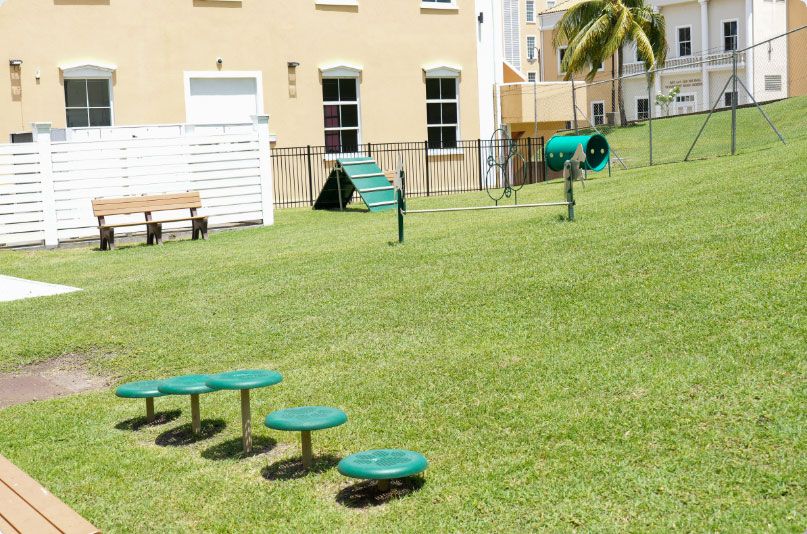 SGU dogpark