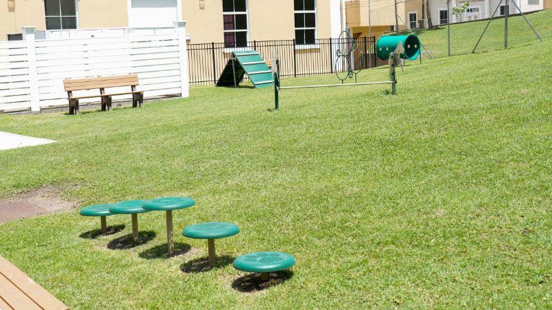 SGU dogpark