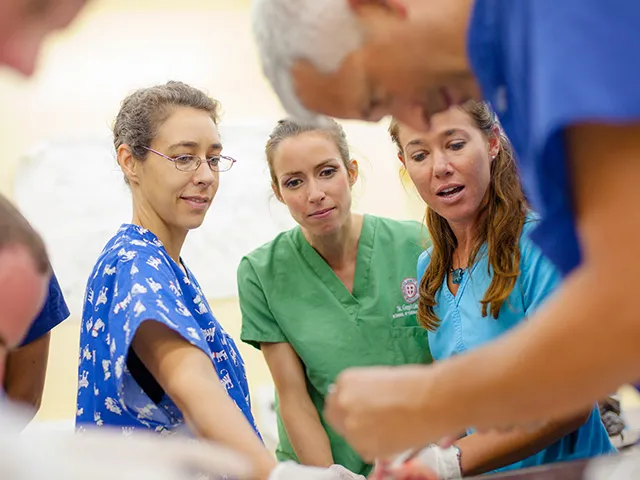 Vet medicine research