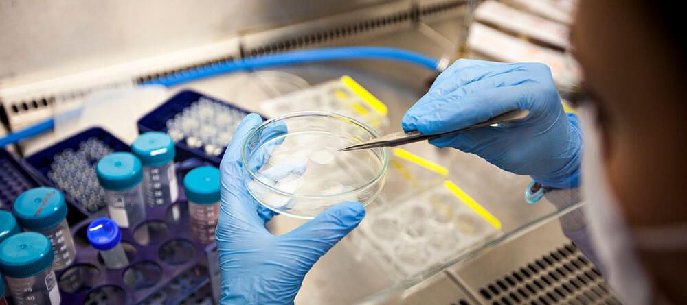 A forensic pathologist examines a lab sample in a petri dish